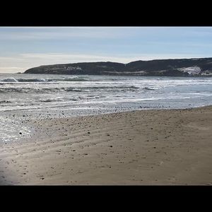 Meet your Posher, Joyce